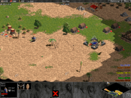 Age of Empires Expansion - W32 - Town.png