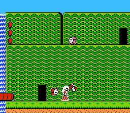 Super Mario Bros. 2 - NES - Invincible.png