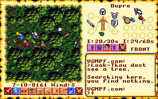 File:Ultima 6 - DOS - Forest.png