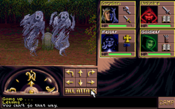 Eye of the Beholder III - DOS - Gameplay 1.png